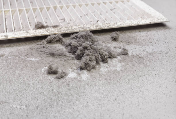 Best Best Air Duct Cleaning Company  in Dovesville, SC