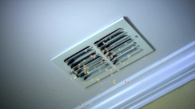 Best Air Duct Cleaning Near Me  in Dovesville, SC