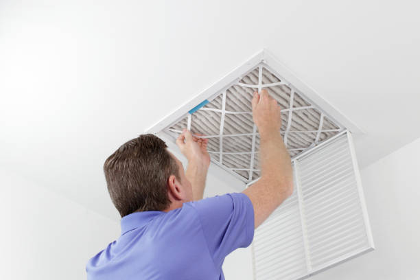 Best Air Duct Sanitizing Services  in Dovesville, SC